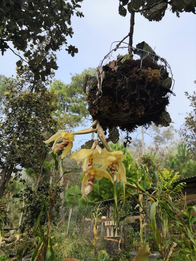 Renta De Cabanas, Centro Ecoturistico Rural Sustentable Labor San Jose San Cristobal de las Casas Ngoại thất bức ảnh