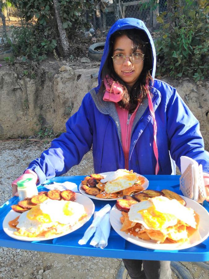 Renta De Cabanas, Centro Ecoturistico Rural Sustentable Labor San Jose San Cristobal de las Casas Ngoại thất bức ảnh